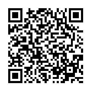 他们的任务仅仅是吸引星耀联邦绝大部分全晶铠战团的注意力二维码生成