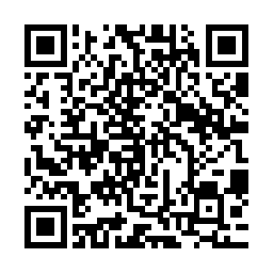 他们的作用只是让深渊领主出现了一些非常不明显的减速罢了二维码生成
