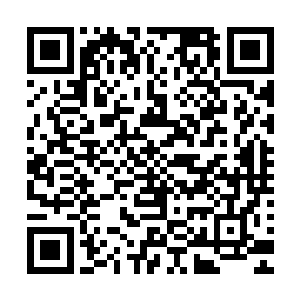 他们的修为在黑色风暴之内也仅仅是让他们多坚持一会儿而已二维码生成