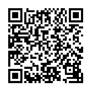 他们的单体实力或许跟不朽之境的强者还有着一定的距离二维码生成