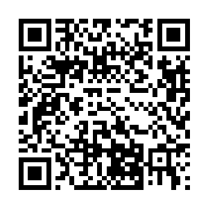 他们的实力已经强大的可以把自己的实力隐藏成为普通人二维码生成