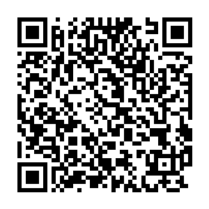 他们的实力已经成长到能够将南方整体实力提升到一个崭新的高度二维码生成