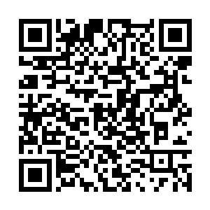 他们的实力虽然说在修真界中都算是顶尖的强者了二维码生成