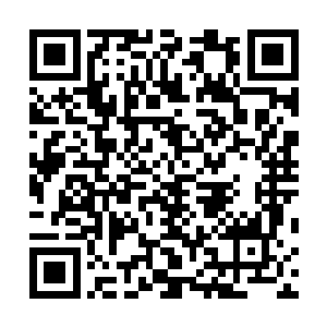 他们的家人后代也必将受到最高议会和海角城的联手庇护二维码生成
