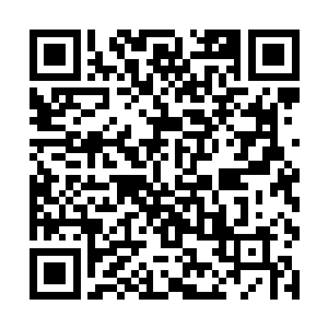 他们的徽记并不如那些名不见经传的小家族那样罕见二维码生成