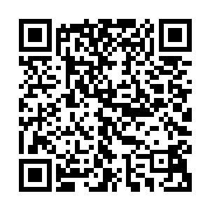 他们的玩法不是华国游客这样跟着旅行团行军打仗似的走马观花二维码生成