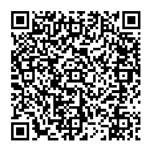 他们的目标好像是一本什么古董书籍……大概是金子做的……而且这本书还是你从遗迹中找到的二维码生成