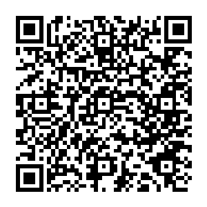 他们的脑海中第一时间便是浮现以往他们进入仙城争夺成仙契机的时候出现的画面二维码生成
