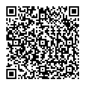 他们的舰桥之上就纷纷发出一阵低沉如丧钟的长鸣那是扫描波纹狠狠撞击他们灵能护盾的声音二维码生成