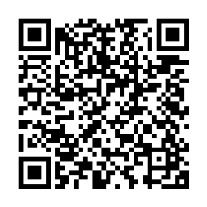 他们的身体莫名其妙的变成现在这样竟然不是什么诅咒而是生病二维码生成