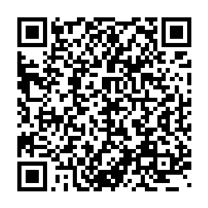 他们的辉煌和成功只是让荣耀至死创造的奇迹看起来更加不可思议罢了二维码生成