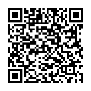 他们的队伍现在明显是和剑一他们不是一个等级了二维码生成