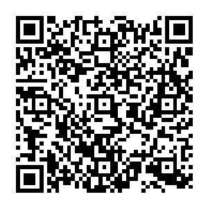 他们看到一个由二十几辆重型集装箱载重卡车组成的车队正在向天龙食品厂咆哮而來二维码生成