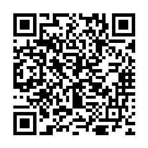 他们看到自己这张正气凛然的脸就主动放弃了收买自己的计划二维码生成