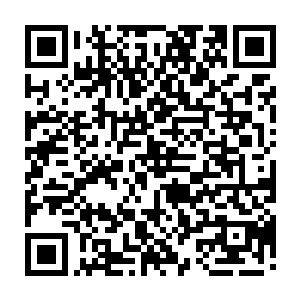 他们看着这些前一秒还在屠杀他们族人的金乌族强者在下一刻便是化为了灰烬二维码生成
