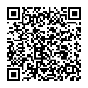 他们真正在乎的是大梦背后隐而不显的两股力量――奥斯卡和网络营销二维码生成