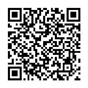他们真的也和自己夫君一样刚刚飞升神界没有多长时间吗二维码生成
