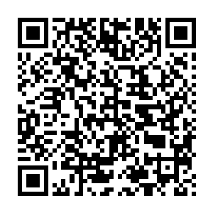他们知道奥斯瓦尔多安排卢加诺和法比亚诺出席新闻发布会目的何在二维码生成