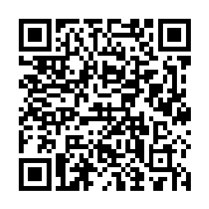 他们确实是得了贵妃娘娘和柳丞相的吩咐防着黎王进去二维码生成