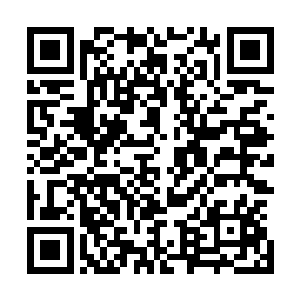 他们秦家男儿从小便会被灌输那种重现秦家巅峰实力的思想二维码生成