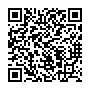 他们竟然从龙傲天的身上感受到了一股浓浓的恐怖的威压二维码生成