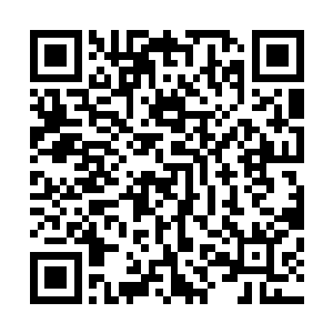 他们第一时间感受到了现在的指挥官罗林和过去艾伦的差别二维码生成