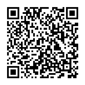 他们累积起来的实力和组织能力让他们有资格提前比普通人知道更多的信息二维码生成