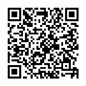 他们经济技术开发区正缺你这样有冲劲儿有见识的年轻人二维码生成