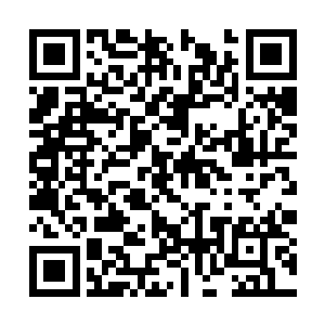 他们绝对不会在这种情况下暴漏自己的底牌去救我二维码生成