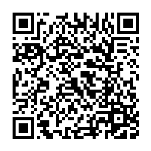 他们自始至终都认为诞生于大海之中的他们才是世上最高贵的生灵二维码生成