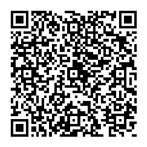 他们自然是不可能挡得住秦方这样堪比至尊境后期强者的一击……即便力量分散到许多人的身上二维码生成