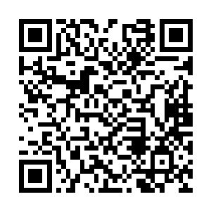 他们获得的灵石不会因为宗门的地位提高就多多少二维码生成