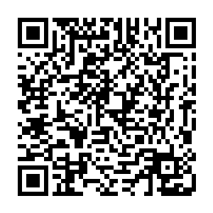 他们虽早就从不同的渠道听闻新来的这位六当家以一己之力斩杀了毒娘子和甘宏二维码生成