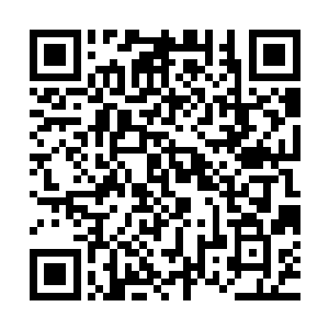 他们觉得眼前这个海族的小王爷似乎也没有想象中的那么可怕啊二维码生成