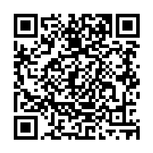 他们认为这个世界上不会有第二个人有这样可怕的学习速度二维码生成