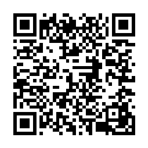 他们认为这个菜鸟白痴一样的滑稽表演应该结束了二维码生成