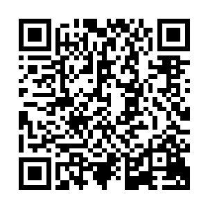 他们认为这个问题只是我们的文明永生进程中出现的一个小挫折二维码生成