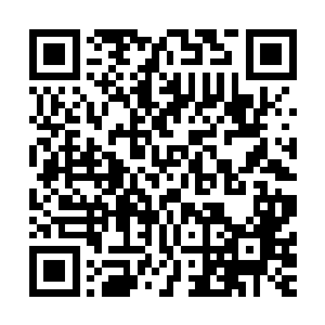 他们说……要……要我们柳生家族偿还当年他们所给予的一切二维码生成