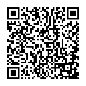 他们说的这一切都是建立在西陵皇真的愿意不顾一切的摧毁镇南王府的基础上二维码生成