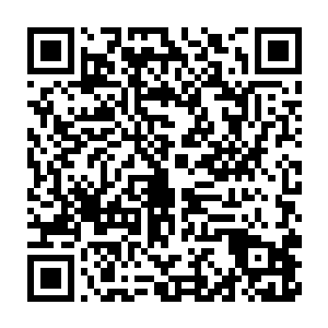 他们说药方来自华夏――而且那些药的包装盒也全都是华夏的文字――二维码生成