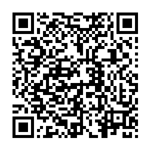 他们谁也没有想到无极宗会将新进阶的修神期大修士范筱梵派过来二维码生成