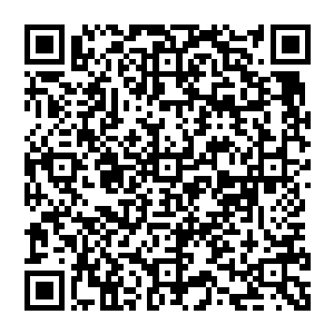 他们身为海澜岛的修士自然是听说过海澜塔中的地下第十二层是海澜门四位太上长老修炼之所二维码生成