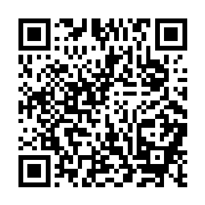 他们过上了不错的生活后自然是淮北王最忠实的拥护者二维码生成