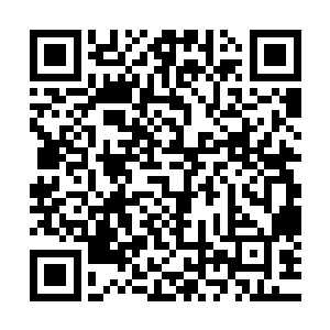 他们还很有可能已经掌握了吴家和杜家的贪赃枉法的犯罪证据二维码生成
