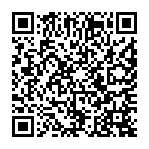 他们还没来得及感受提升到界主级的喜悦就感觉到一股强力的威压二维码生成