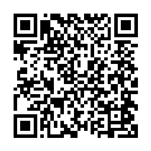 他们还真不明白林封谨和野猪之间的话意对白究竟是什么意思二维码生成