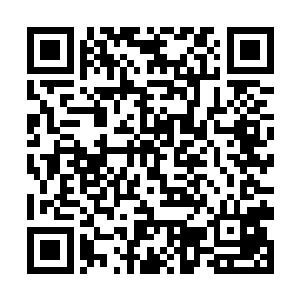 他们还远远的把那样一对任性娇气表妹送过来添乱子二维码生成
