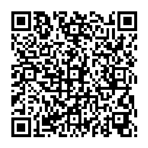 他们这一路虽然走的又惊又怕还累的去掉了半条命却真是没有遇到什么要命的猎物二维码生成