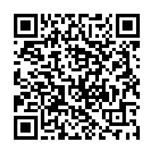 他们这些散修队伍和这些小型队伍根本就什么都分不到二维码生成