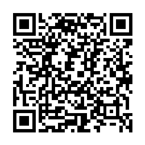 他们这些最近数万年十多万年才晋升的真神万万不敢反抗二维码生成